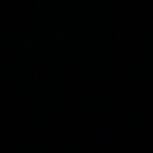 Meet your Posher, Jaqulin